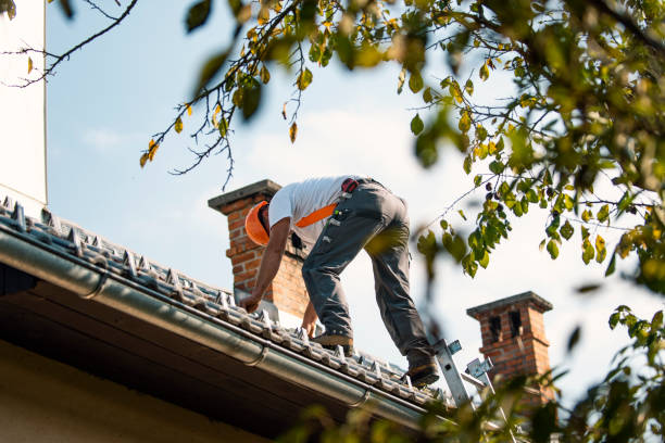 Quick and Trustworthy Emergency Roof Repair Services in Ames Lake, WA